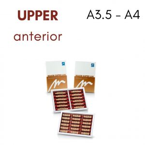 TOOTH CARD SUPERLUX MAJOR UPPER ANTERIOR A3.5-A4