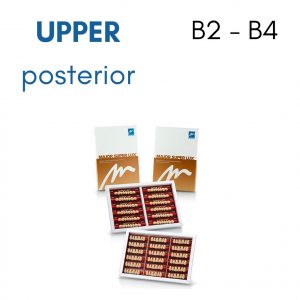 TOOTH CARD SUPERLUX MAJOR UPPER POSTERIOR B2-B4
