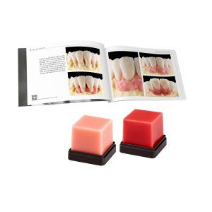 Renfert GEO Expert Gingiva modelling wax, pink and red, A. Bruguera